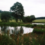 Bowden Curling Pond
